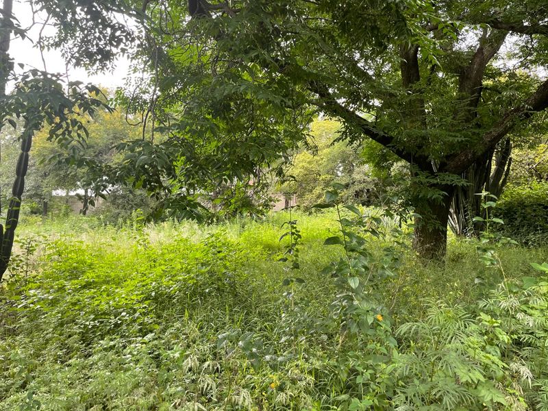 “103 Unit Development Opportunity | Res 3 | ±R48,500 per Opportunity | 2ha Corner Site – Kya Sands” - Photo 5