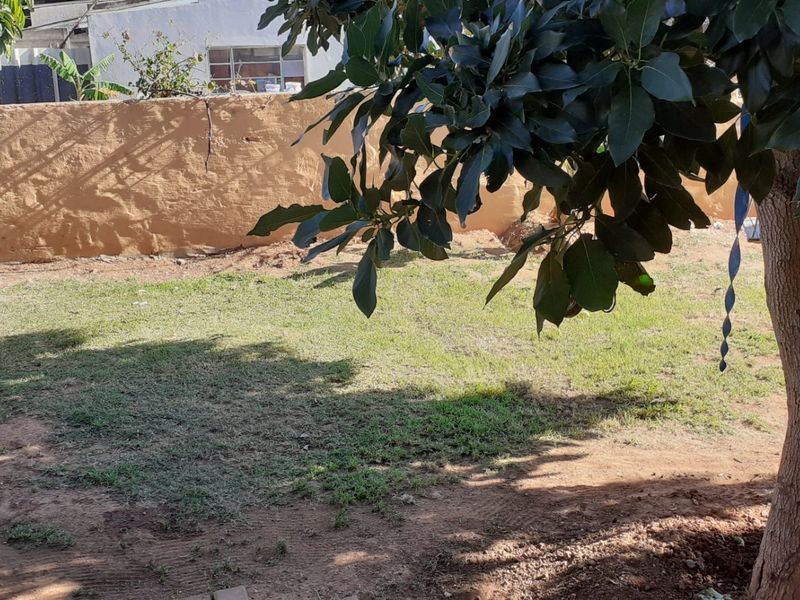 A private backyard area featuring a mature tree, a grass lawn, and a perimeter boundary wall.