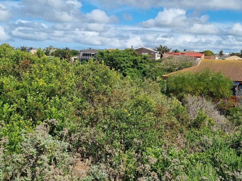 A view overlooking the surrounding residential neighborhood and dense natural vegetation from the vacant land plot.