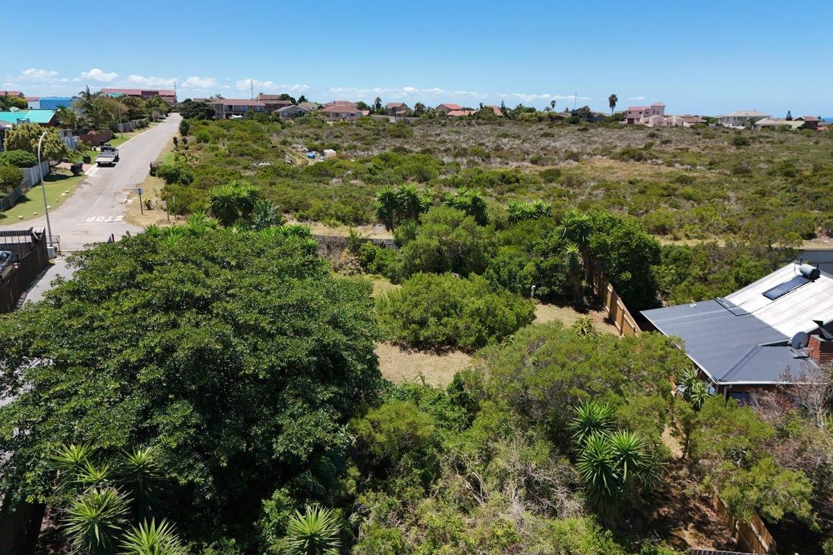 STUNNING OPEN STAND IN SOUGHT AFTER NOORSEKLOOF AREA - Photo 3