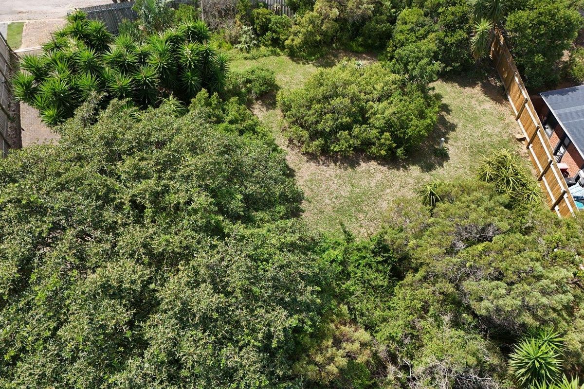 STUNNING OPEN STAND IN SOUGHT AFTER NOORSEKLOOF AREA - Photo 2