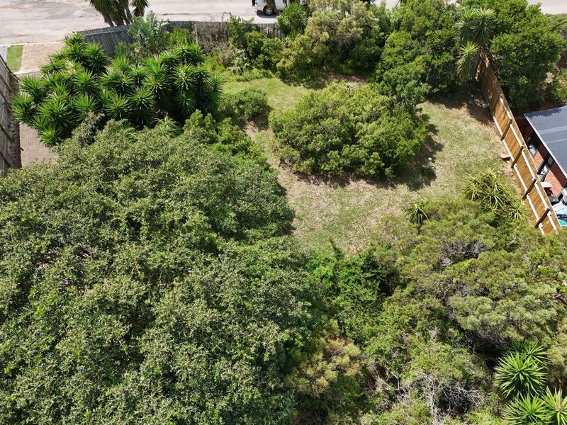 STUNNING OPEN STAND IN SOUGHT AFTER NOORSEKLOOF AREA - Photo 2