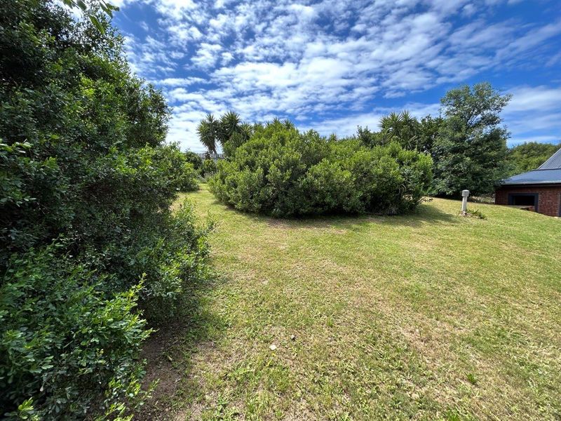 STUNNING OPEN STAND IN SOUGHT AFTER NOORSEKLOOF AREA - Photo 10