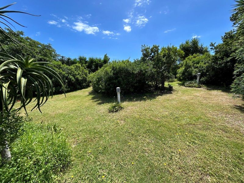 STUNNING OPEN STAND IN SOUGHT AFTER NOORSEKLOOF AREA - Photo 8