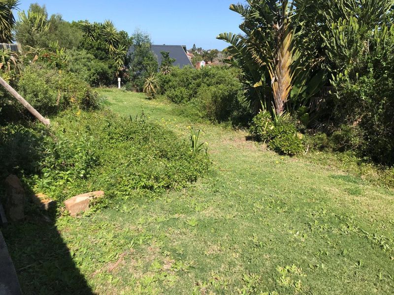 STUNNING OPEN STAND IN SOUGHT AFTER NOORSEKLOOF AREA - Photo 6