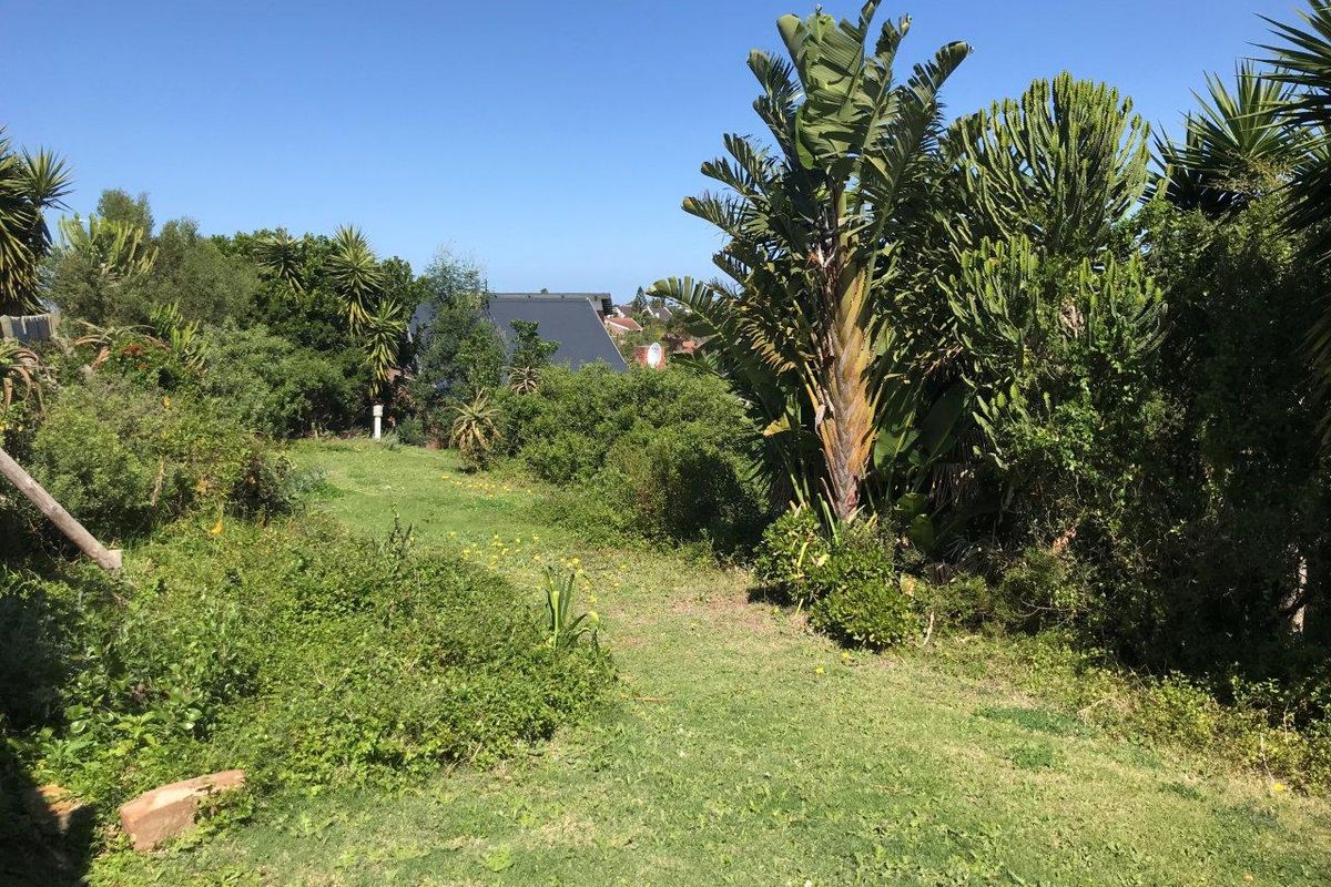 STUNNING OPEN STAND IN SOUGHT AFTER NOORSEKLOOF AREA - Photo 4