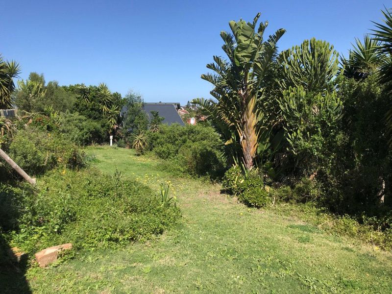 STUNNING OPEN STAND IN SOUGHT AFTER NOORSEKLOOF AREA - Photo 4