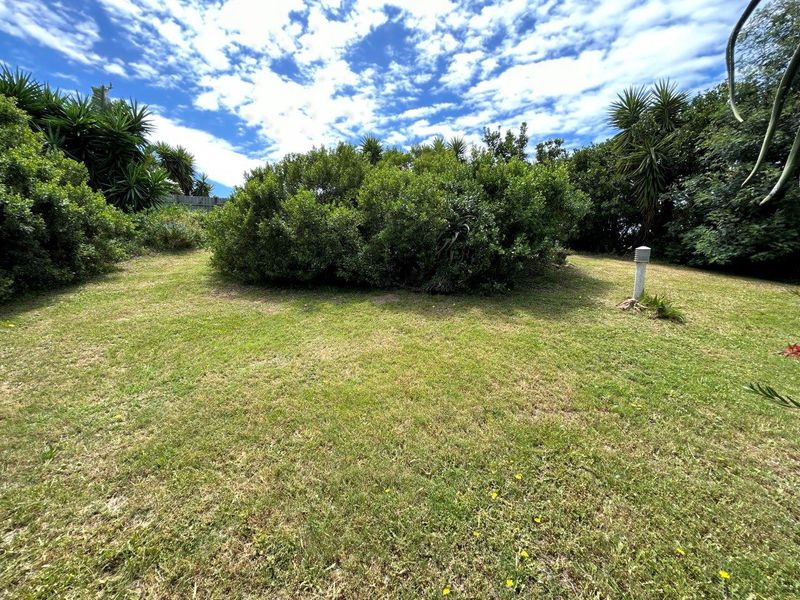 STUNNING OPEN STAND IN SOUGHT AFTER NOORSEKLOOF AREA - Photo 9