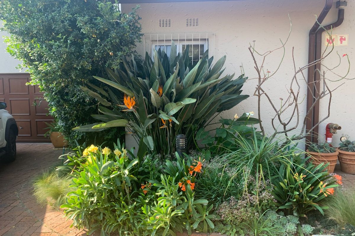 SPLENDID, SPACIOUS, SECURE, LIVING IN FOURWAYS - Photo 3