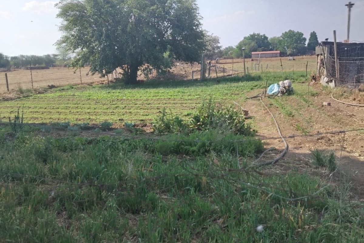 Small Holding For Sale in Mullerstuine - Photo 4