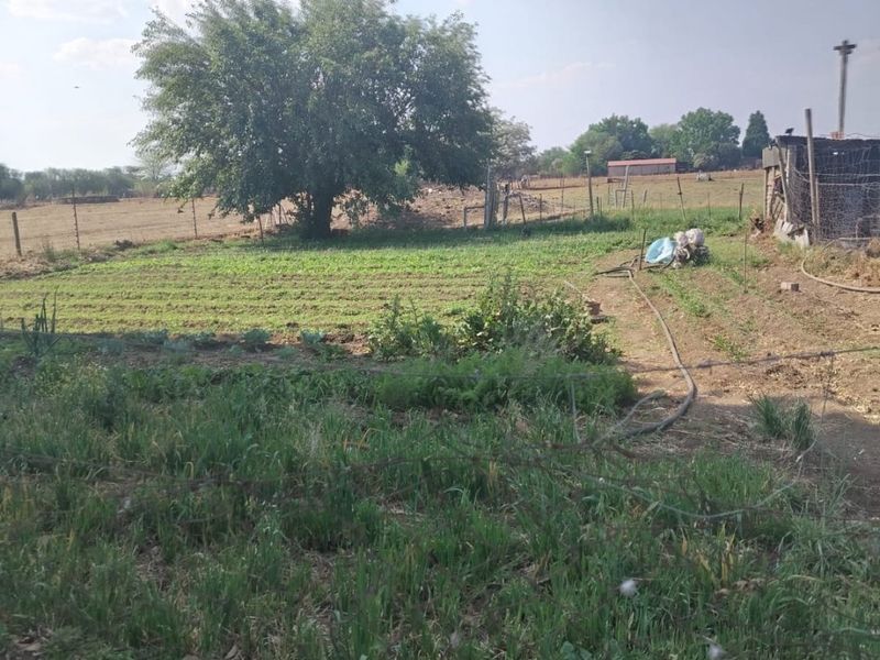 Small Holding For Sale in Mullerstuine - Photo 4