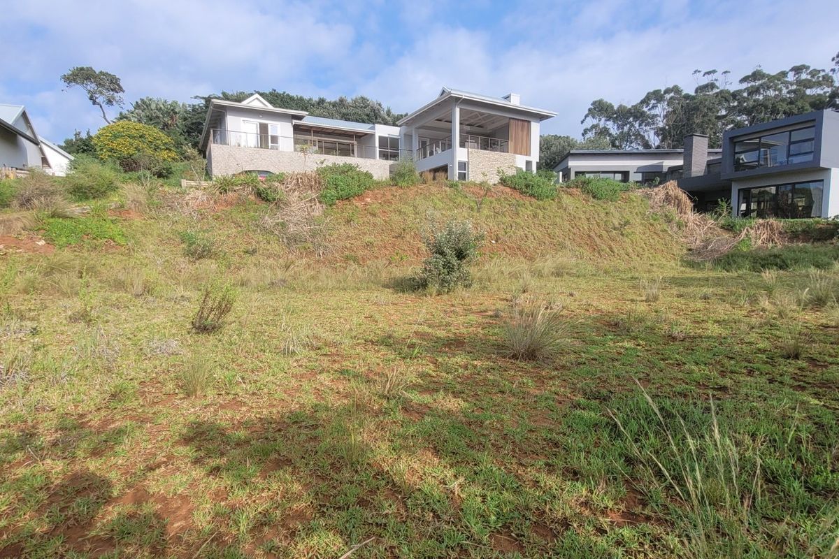 A view of a sloped residential plot with natural vegetation, looking up towards neighboring modern homes.