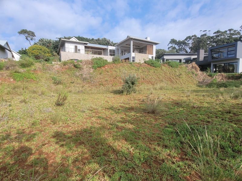 A view of a sloped residential plot with natural vegetation, looking up towards neighboring modern homes.