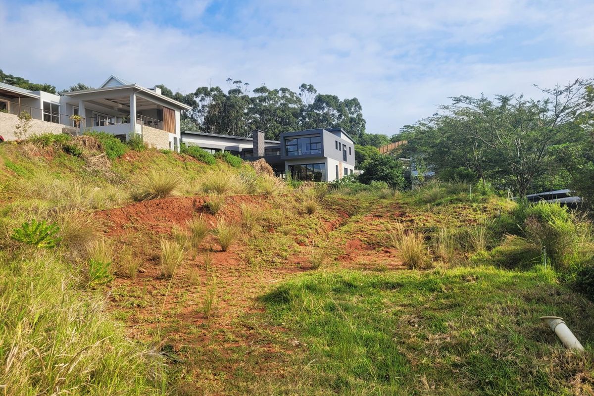 A view of a sloped, undeveloped residential plot with natural vegetation and visible soil erosion, overlooking neighboring modern homes.