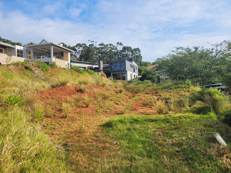 A view of a sloped, undeveloped residential plot with natural vegetation and visible soil erosion, overlooking neighboring modern homes.