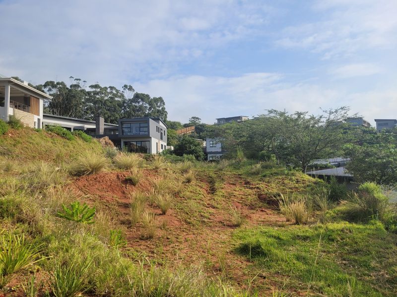 A view of a sloped, undeveloped residential plot with natural vegetation, situated in a developed neighborhood with modern homes in the background.