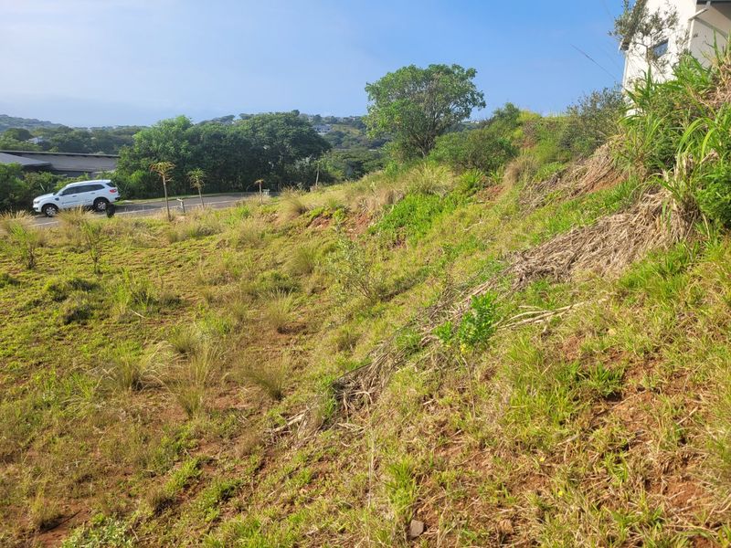 A view of a sloped, undeveloped residential plot with natural grass cover, situated in a residential area.