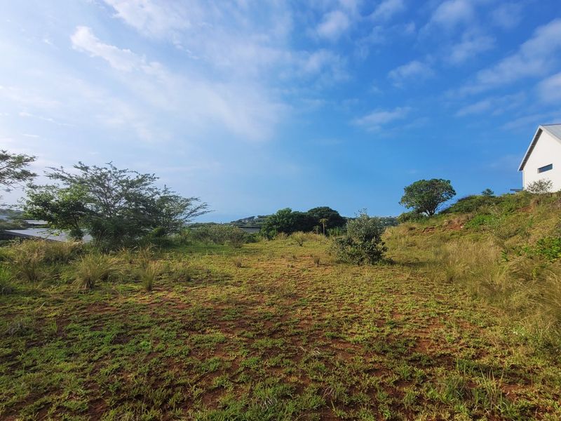 A view of a sloped, undeveloped residential plot featuring natural vegetation and surrounding landscape.
