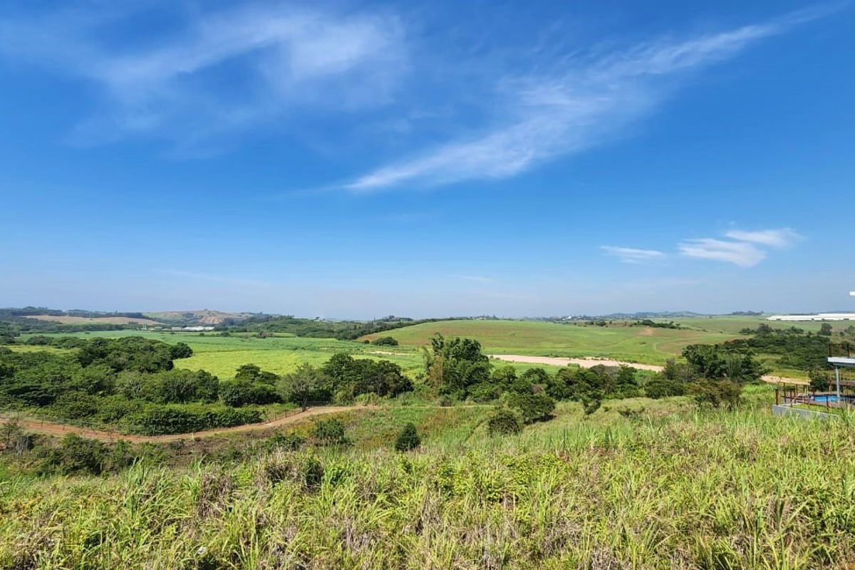 A wide-angle view of the surrounding landscape and natural vegetation from the vacant residential property.