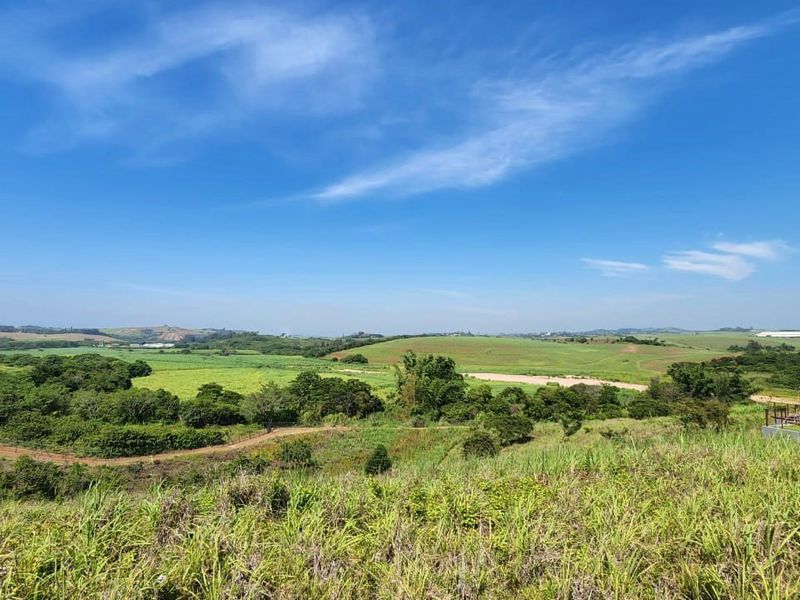 A wide-angle view of the surrounding landscape and natural vegetation from the vacant residential property.