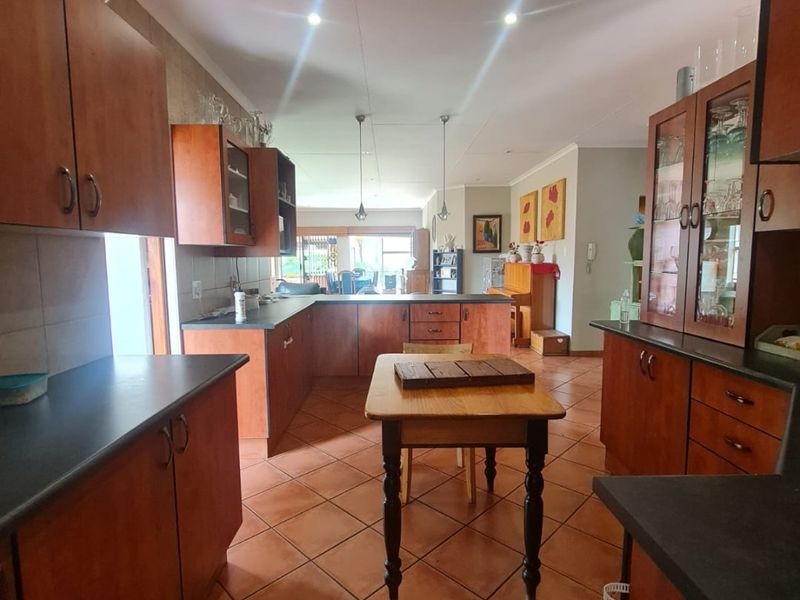 On The banks of the Vaal River. - Photo 9