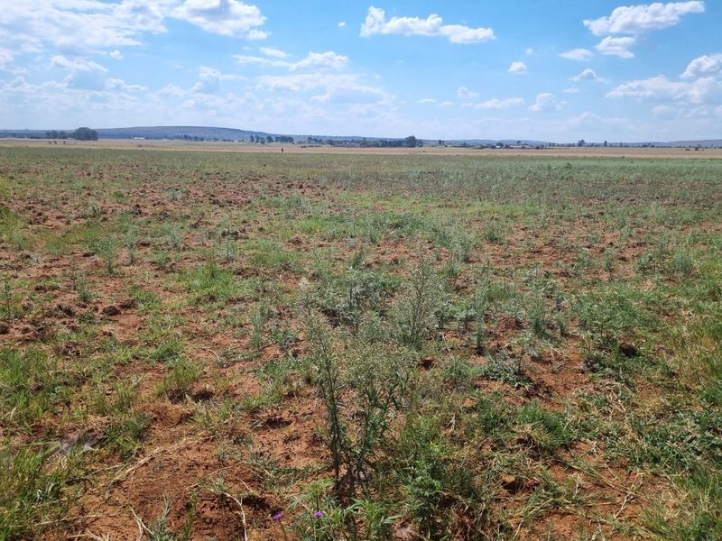 Clean "ready to farm or build" vacant stand - Photo 2