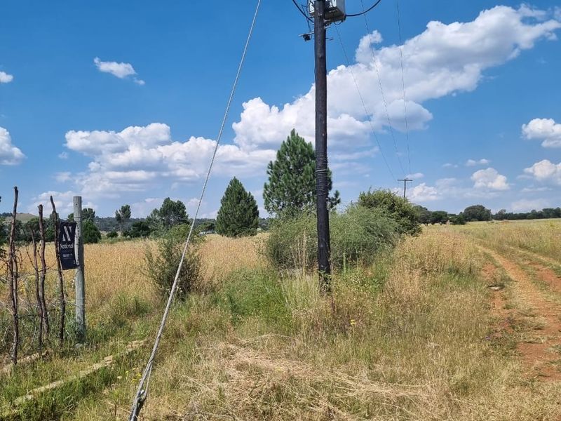 Clean "ready to farm or build" vacant stand - Photo 5