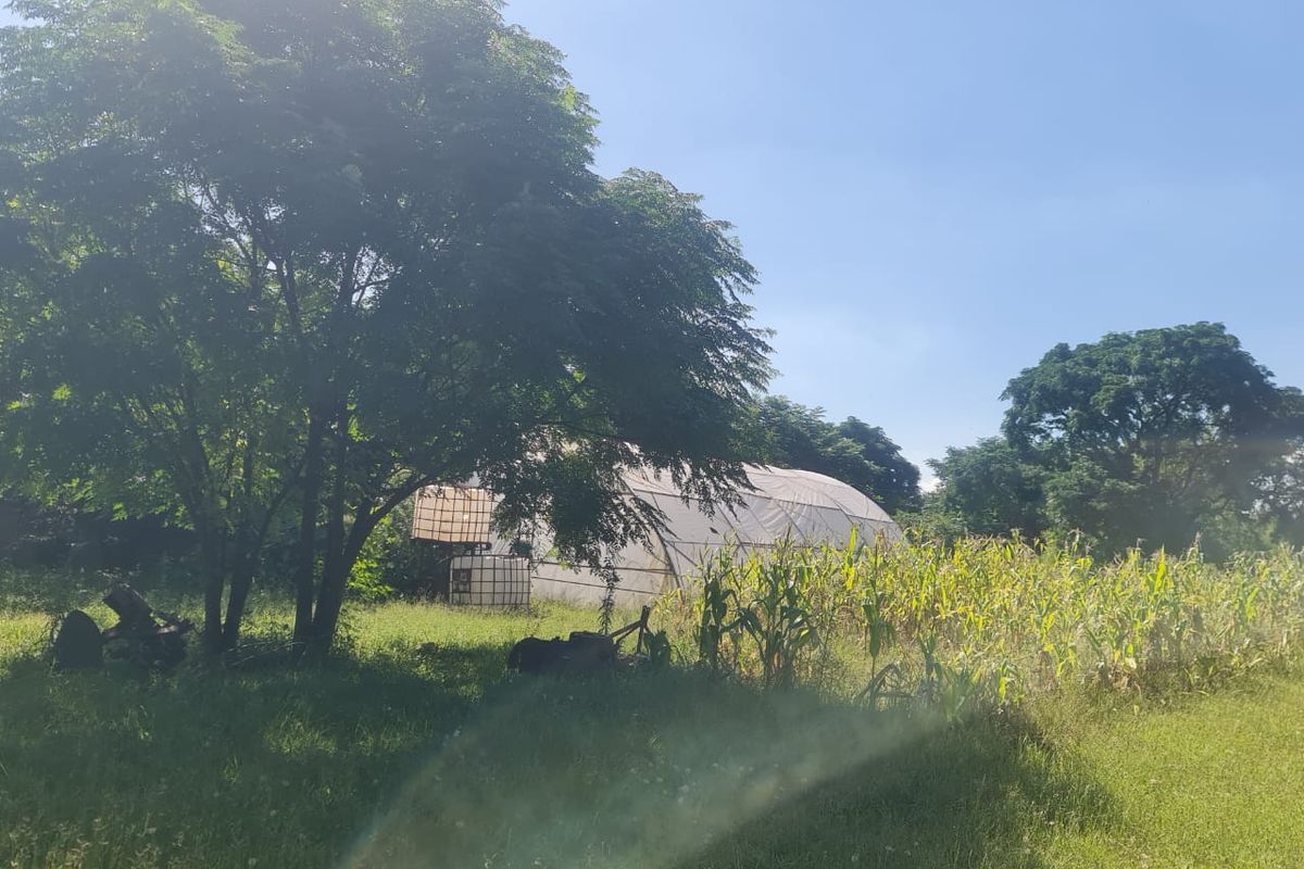 2.7ha Farm in Kaalplaats - Photo 5