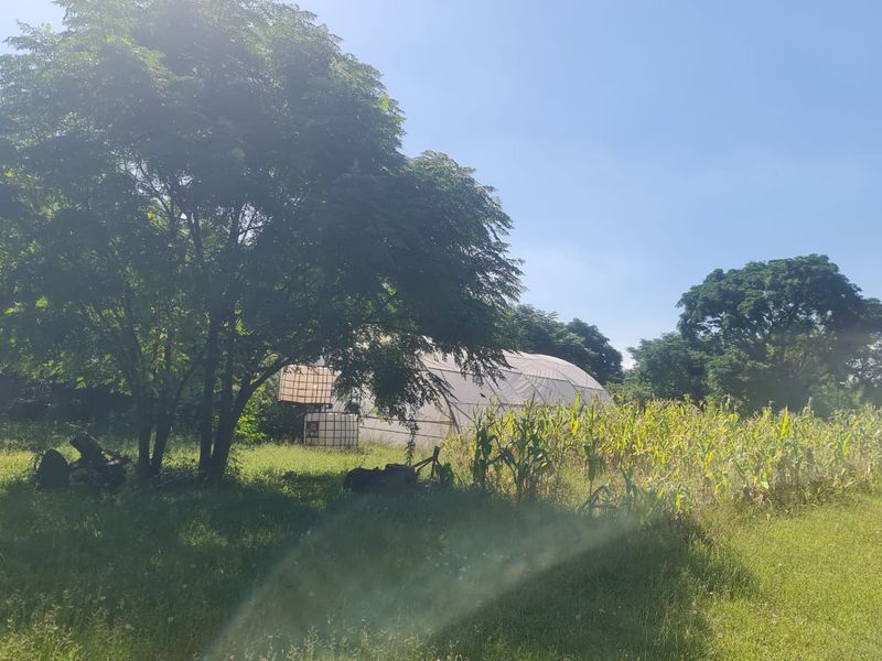 2.7ha Farm in Kaalplaats - Photo 5