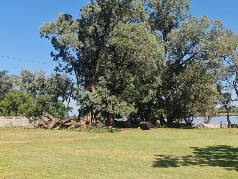 2.7ha Farm in Kaalplaats - Photo 6