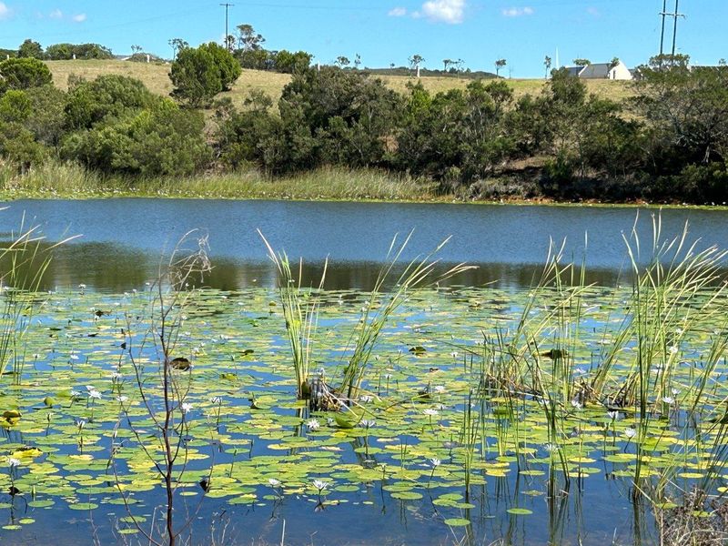 BUILD YOUR DREAM HOME ON THIS AMAZING NATURE RESERVE CLOSE TO JEFFREYS BAY - Photo 10