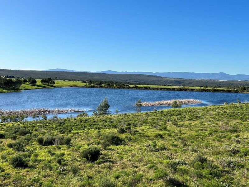 BUILD YOUR DREAM HOME ON THIS AMAZING NATURE RESERVE CLOSE TO JEFFREYS BAY - Photo 9