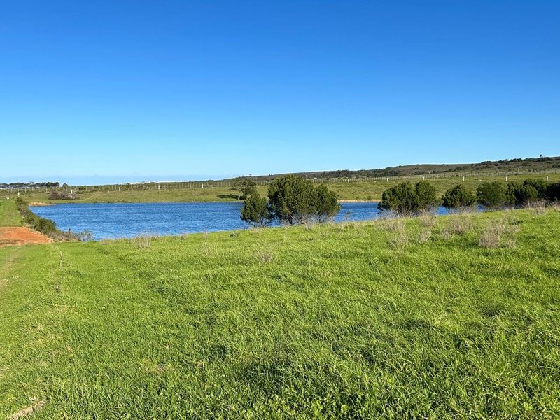 BUILD YOUR DREAM HOME ON THIS AMAZING NATURE RESERVE CLOSE TO JEFFREYS BAY - Photo 8