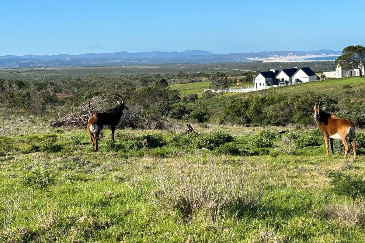 BUILD YOUR DREAM HOME ON THIS AMAZING NATURE RESERVE CLOSE TO JEFFREYS BAY - Photo 5