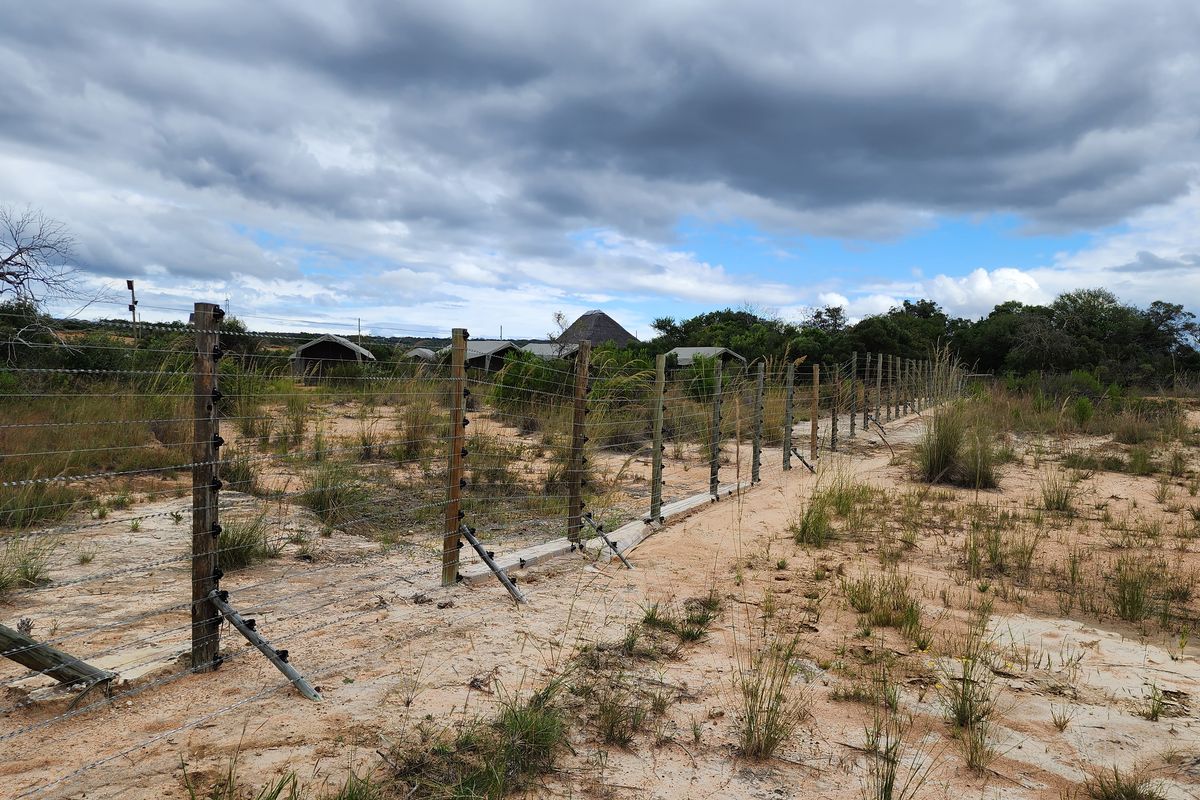 425 Ha Game Fenced Farm - Photo 5