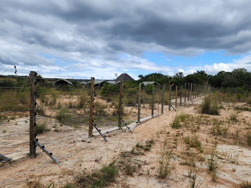 425 Ha Game Fenced Farm - Photo 5