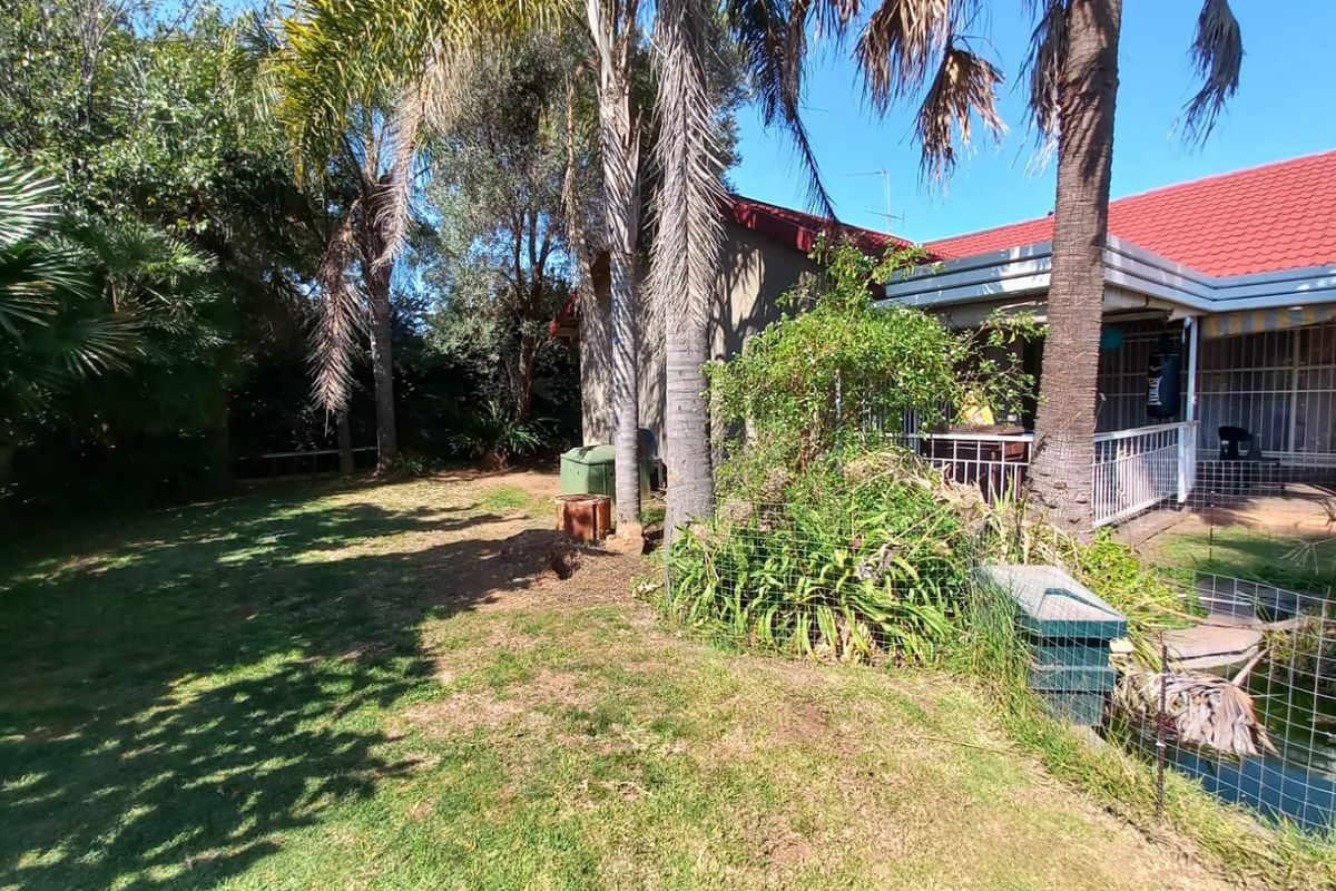 A rear garden view featuring a covered patio area, mature trees, and a lawn, showing the back elevation of the property.