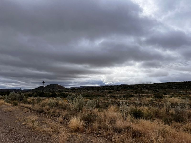 Willowmore stand close to Golf Course. - Photo 10