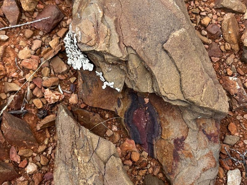 Willowmore stand close to Golf Course. - Photo 8