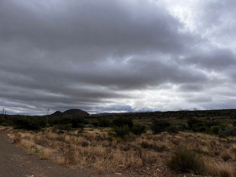 Willowmore stand close to Golf Course. - Photo 6