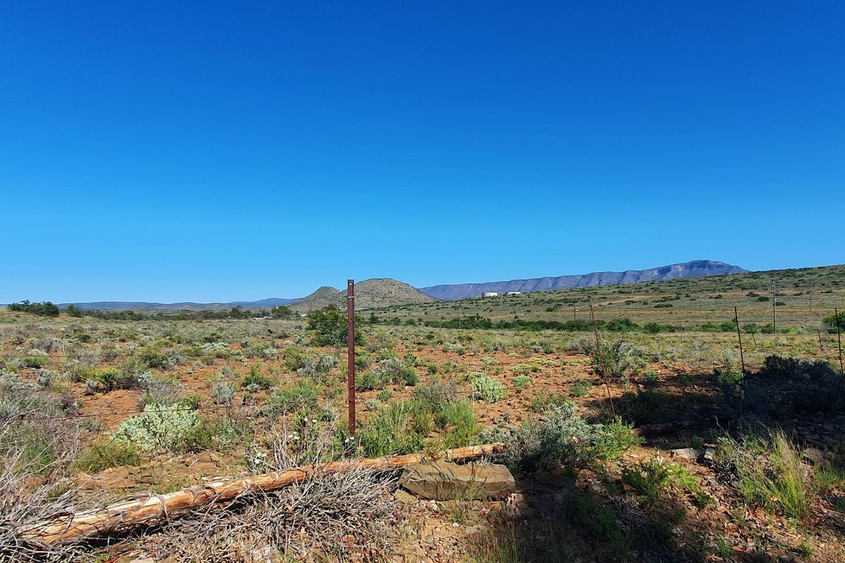 Willowmore stand close to Golf Course. - Photo 4