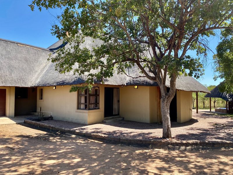 Rear view of a traditional thatch-roofed house featuring plastered walls, timber-framed windows, and a gravel outdoor area under mature trees.