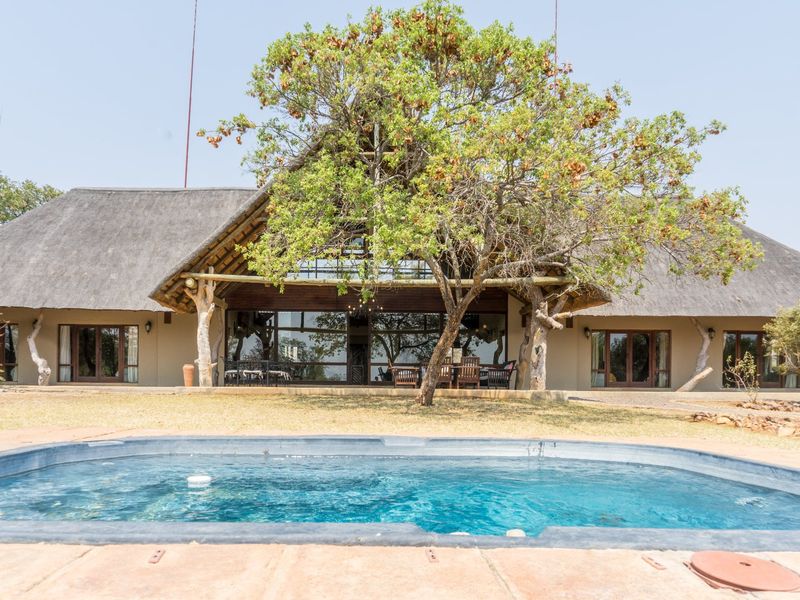 Rear view of a thatched-roof residence featuring a swimming pool, covered patio area, and large glass doors opening to the garden.