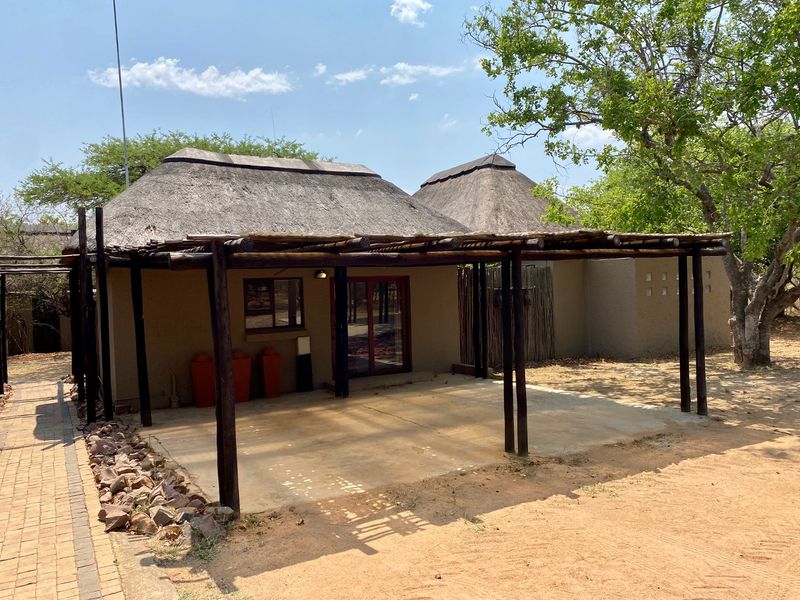 A rustic outdoor patio area featuring a thatched roof structure, timber support beams, and a concrete floor, set within a natural bushveld environment.