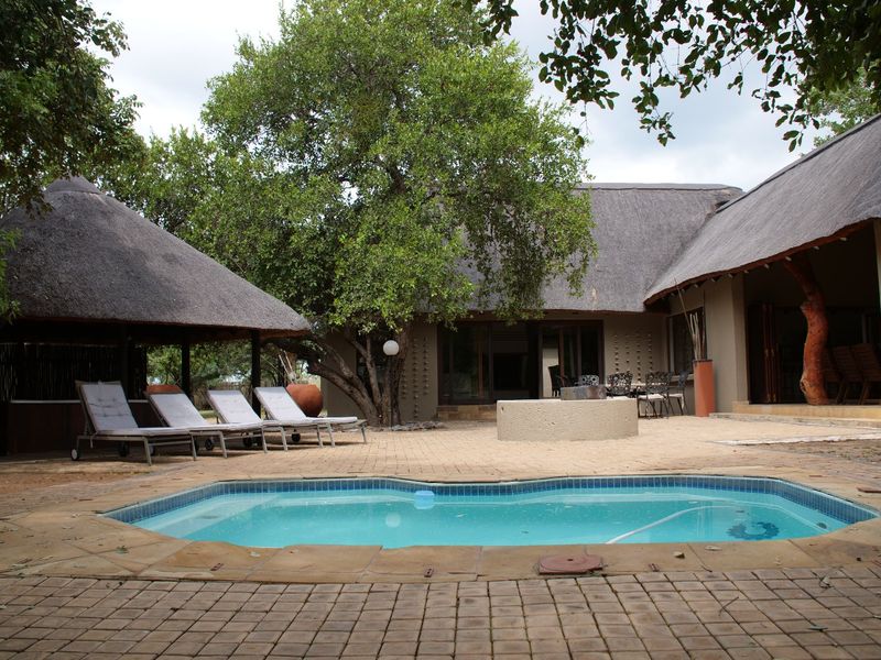 Outdoor entertainment area featuring a swimming pool, paved patio, and a thatched-roof structure set within a natural garden environment.