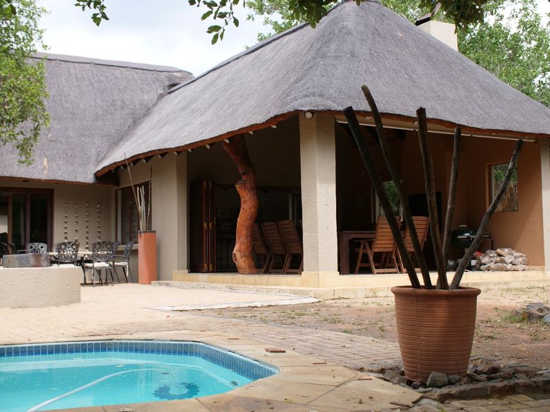 Spacious covered patio with a traditional thatched roof, overlooking a swimming pool and landscaped garden area.