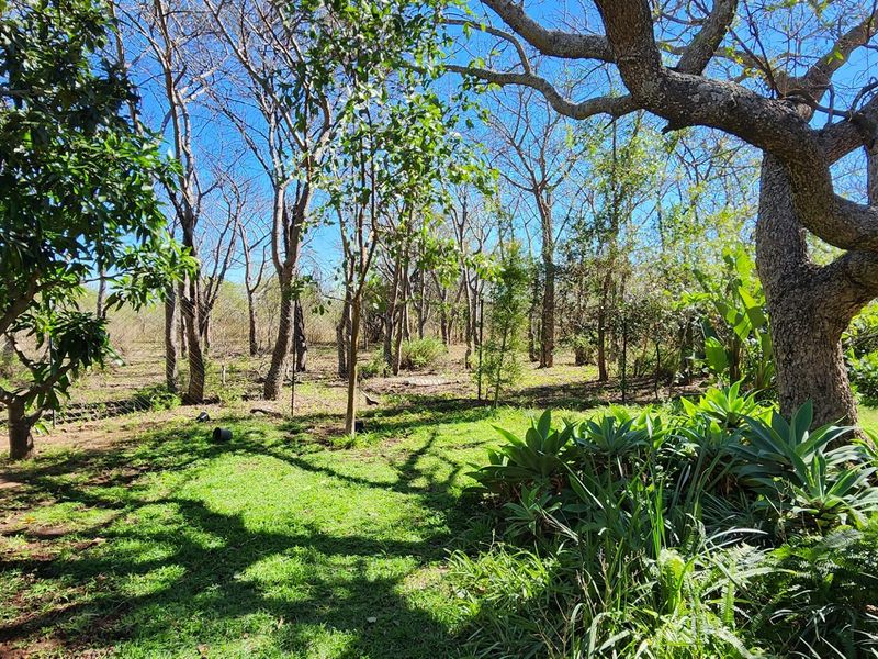 Exceptional 180-Hectare Farm for Sale – Prime Location Near Polokwane! - Photo 6
