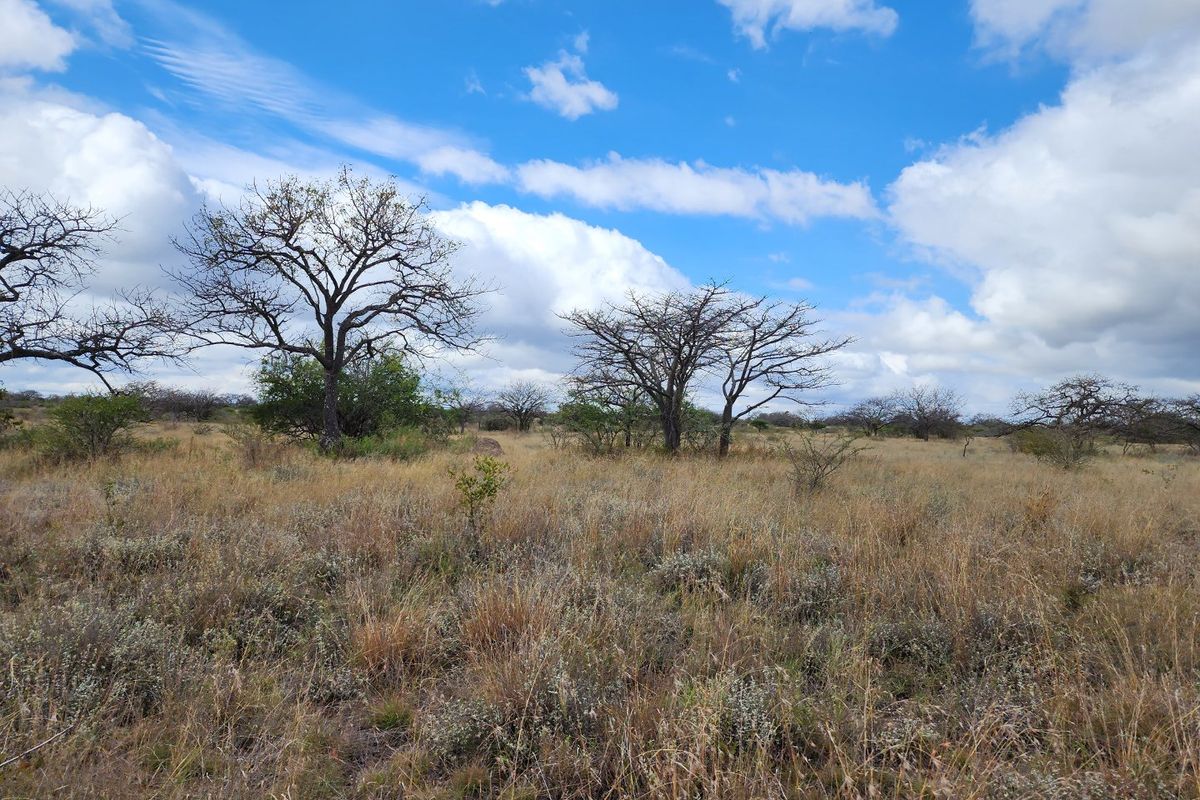 Exceptional 180-Hectare Farm for Sale – Prime Location Near Polokwane! - Photo 3