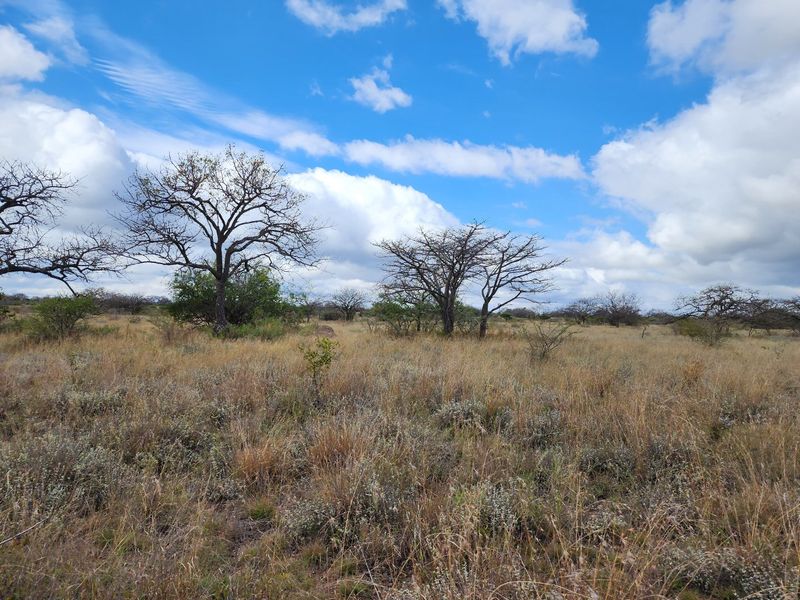 Exceptional 180-Hectare Farm for Sale – Prime Location Near Polokwane! - Photo 3