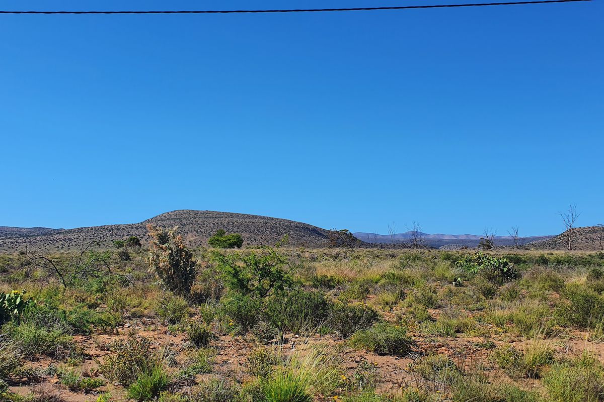 Lovely stand in the beautiful Karoo Town of Willowmore - Photo 4